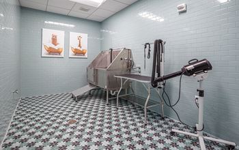 Dog wash station